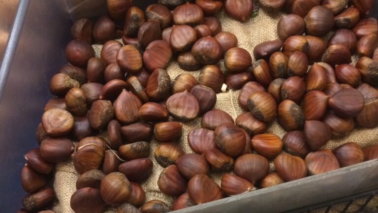 5. Business Planning