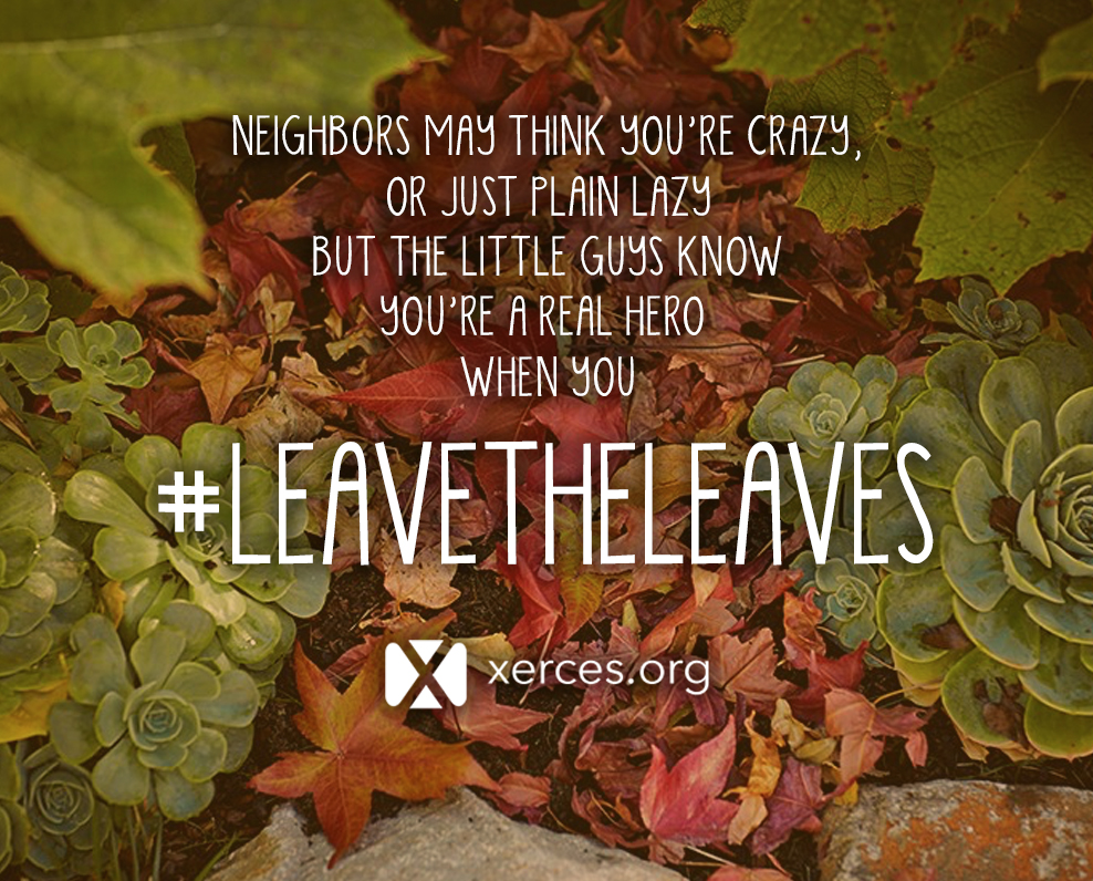 graphic by the xerces society that reads: neighbors may think you're crazy, or just plain lazy, but the little guys know you're a real hero when you leave the leaves