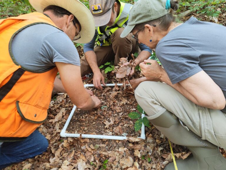 Ground-Truthing Carbon: Setting Protocols for the Healthy Soils Initiative
