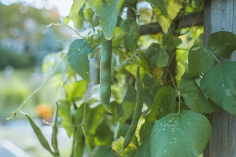 Welcome, Fen and Nate!