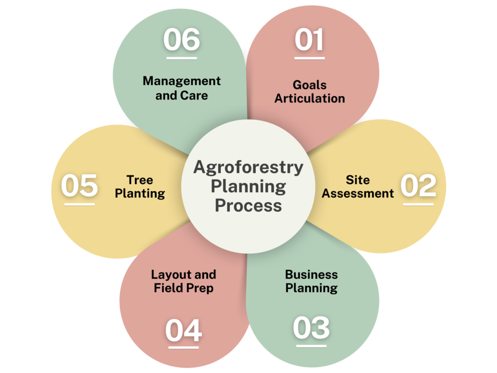 Circular diagram titled “Agroforestry Planning Process” showing six steps arranged around a center: goals articulation, site assessment, business planning, layout and field preparation, tree planting, and management and care.