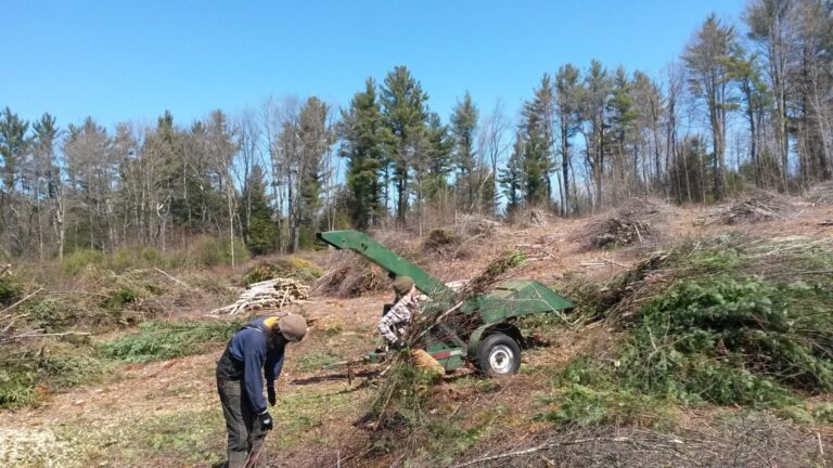 7. Layout + Field Prep